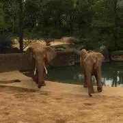 といろママ
