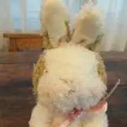 すーさん