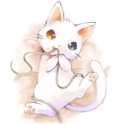 ☆shinobu☆