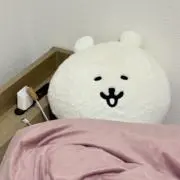 ナガノの画像