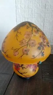 vegaの画像