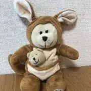 コーネの画像