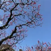 MEの画像