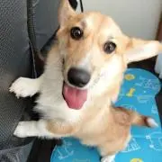 らむ♡の画像