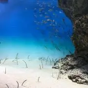 なお