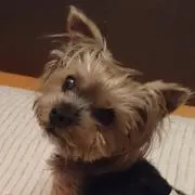はる