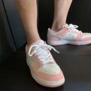 ピッピの画像