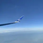 あぴの画像