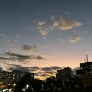 ゆめの画像