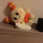 カニエルの画像