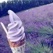 eri_ka*の画像