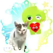 ノリぴん