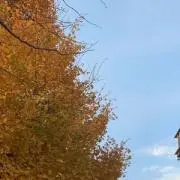 Jiro