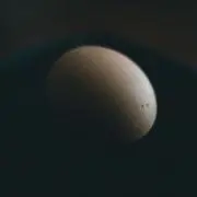 ookkddの画像