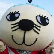 ⭐︎グリコの画像