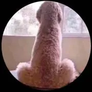 長栄電気の画像