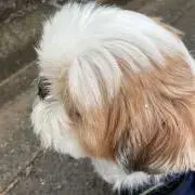 そらの画像