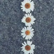 abc.プロフ必読の画像