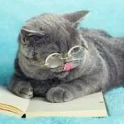ねこ太郎