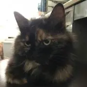 ゆう