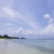 ..saa..の画像