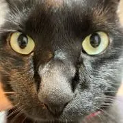 KYの画像