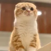 みな