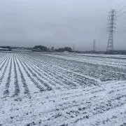 ト