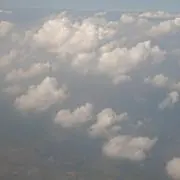 かなの画像