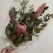 E-nt☆の画像