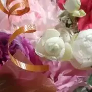 ちゃちゃの画像