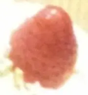ひまわり♪【よりどり商品あり】の画像