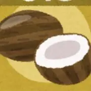 coconatuの画像