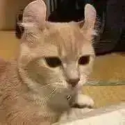らずり