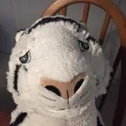 MARCELの画像