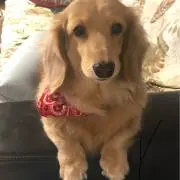チイママ