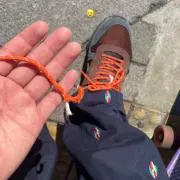 タトバの画像