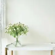 yukiの画像