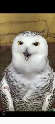 あおばのクーちゃんの画像