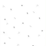 ぽにの画像