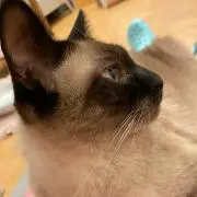 もる