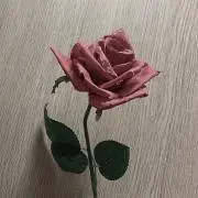 ℳ.の画像