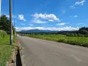 たけの画像