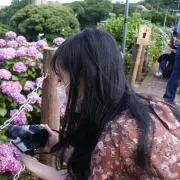 ささの画像