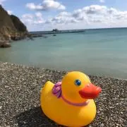 bathahiru5656の画像