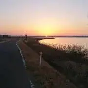 にゅーの画像
