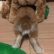 【値引き不可】epmの画像