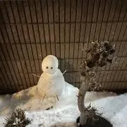 ひのまるカンタービレの画像
