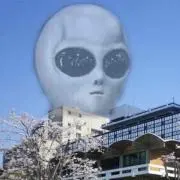 さんちゃんの画像