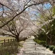 NANANA☆の画像